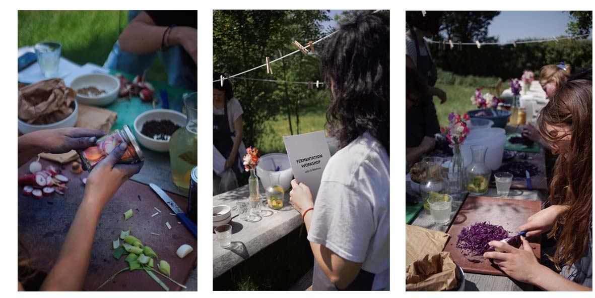 pictures fermentation class