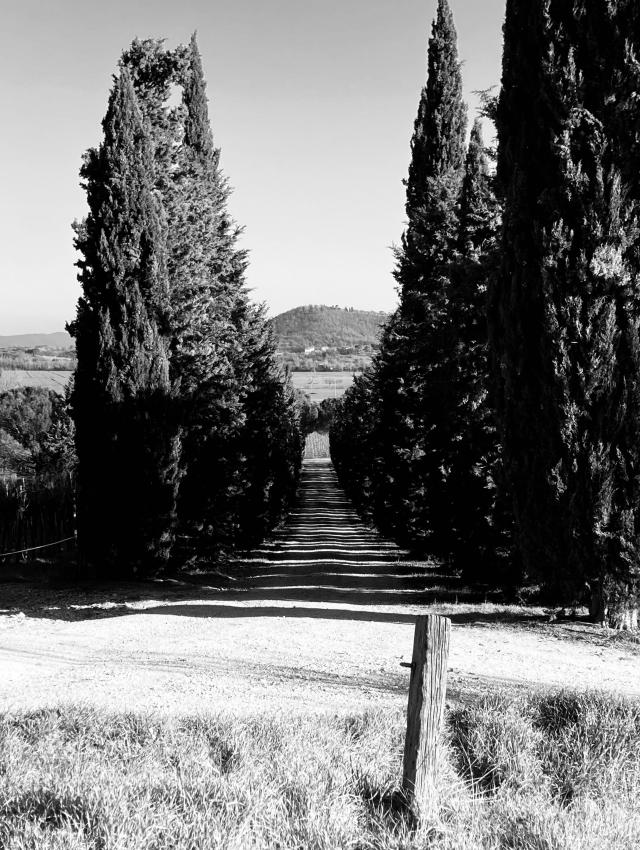 Conestabile della Staffa 