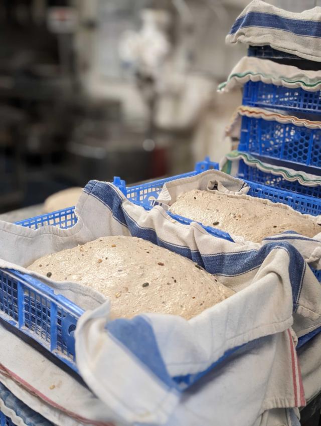Stockholm Loaves Proving in Mushroom boxes e5 Bakehouse