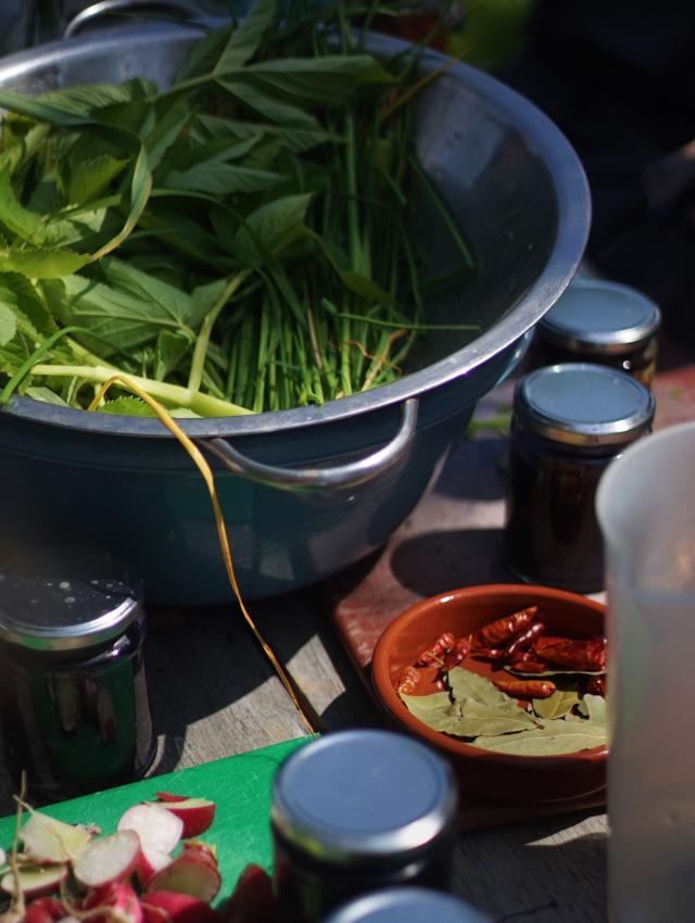 vegetables and herbs